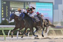 ディクテオンが総合優勝…2025 G/JpnⅠグランドボーナス確定