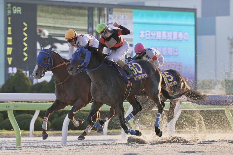 ディクテオンが総合優勝…2025 G/JpnⅠグランドボーナス確定