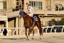 【東京大賞典】ルメール「勝った馬が強すぎました」レース後ジョッキーコメント