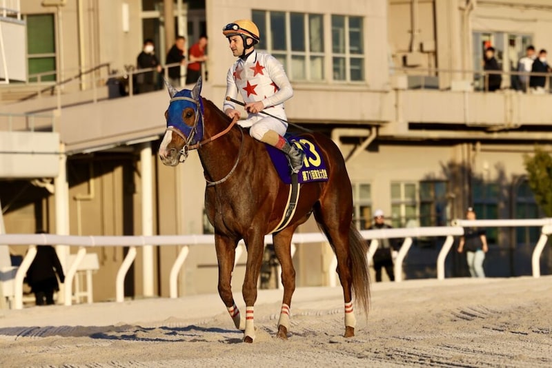 【東京大賞典】ルメール「勝った馬が強すぎました」レース後ジョッキーコメント