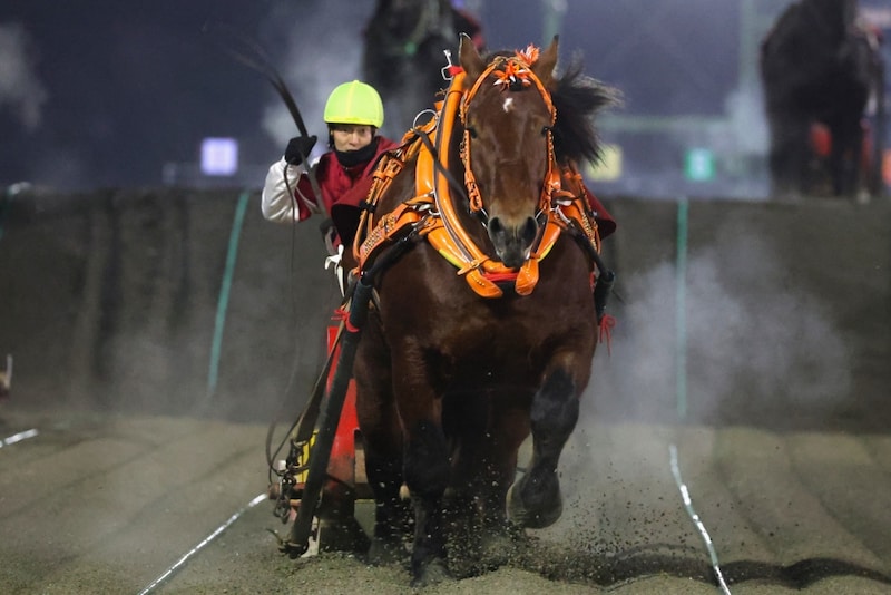 【ばんえいダービー】キョウエイエースが制覇、世代王者に輝く