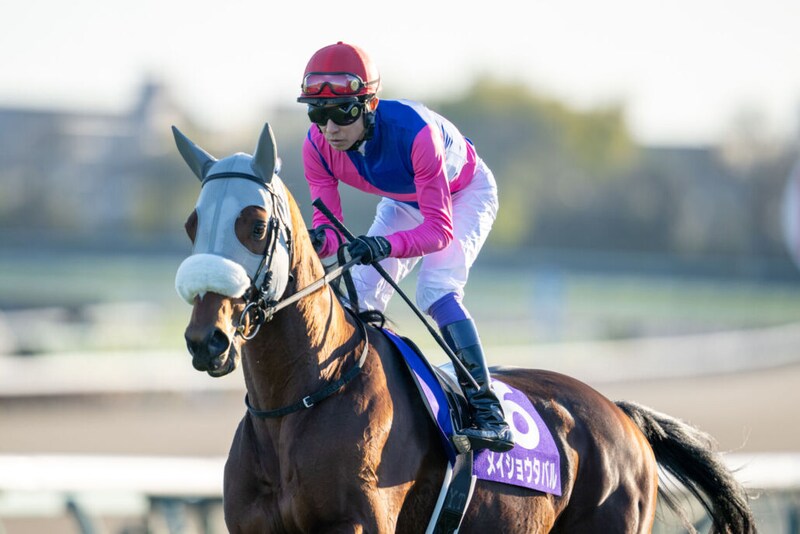 【武豊日記】どうぞ、よいお年をお迎えください