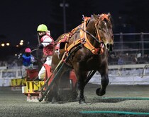 【ばんえい十勝】1日発売額が初の9億円超え…ばんえい競馬史上最高額を更新