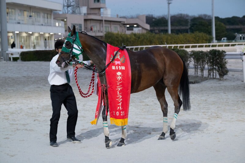 【東京シンデレラマイル】1レース売得金10億円超でレコード更新