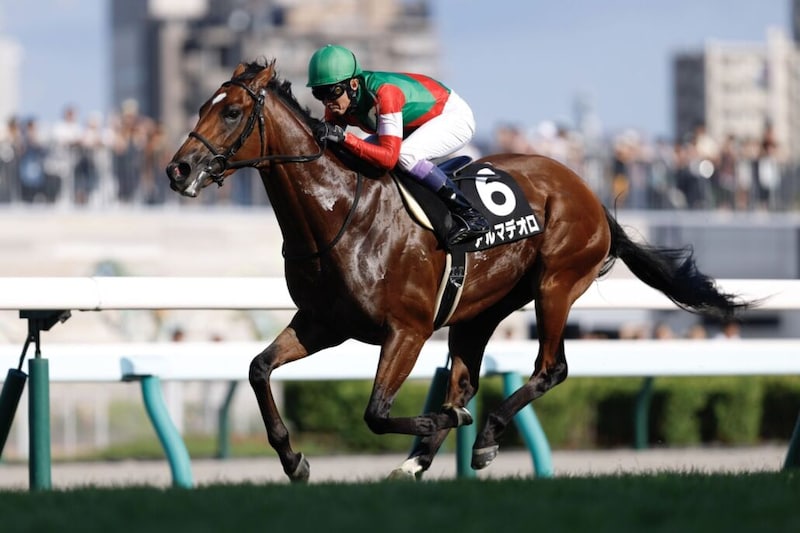 武豊騎手 今週の騎乗馬…神戸新聞杯はキタサンブラック半弟とコンビ