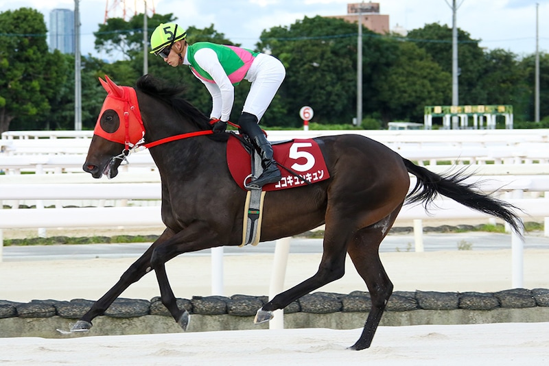 【園田プリンセスC】山本咲希到騎手が会心エスコート!ココキュンキュンが世代牝馬戦線をリード