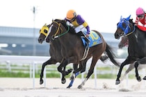 西塚＆松本が初戦V…YJSトライアル名古屋開幕