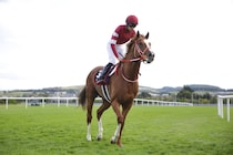 シンエンペラー、凱旋門賞回避を発表