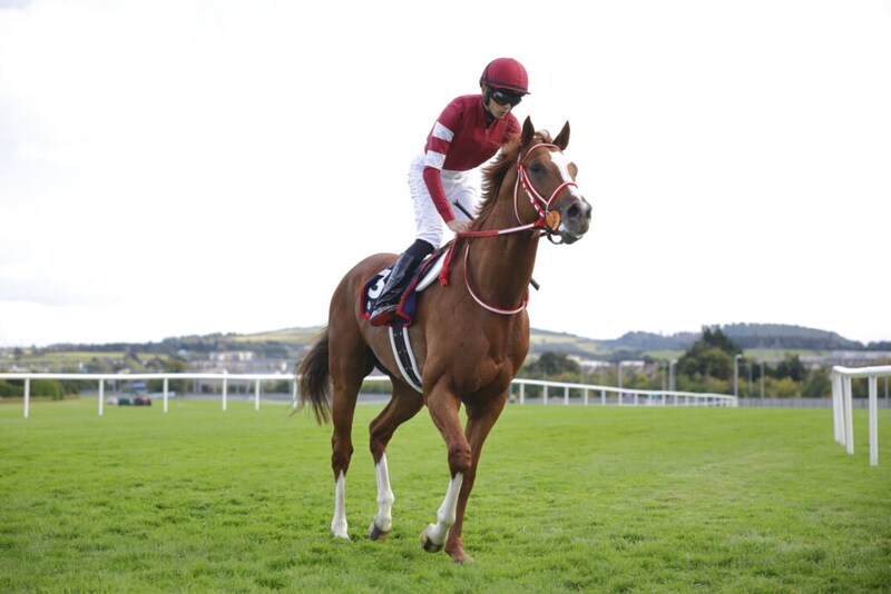 シンエンペラー、凱旋門賞回避を発表