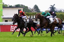 北村友一騎手が9月28日、29日の2日間騎乗停止…プランスドランジュ賞でムチ使用回数超過