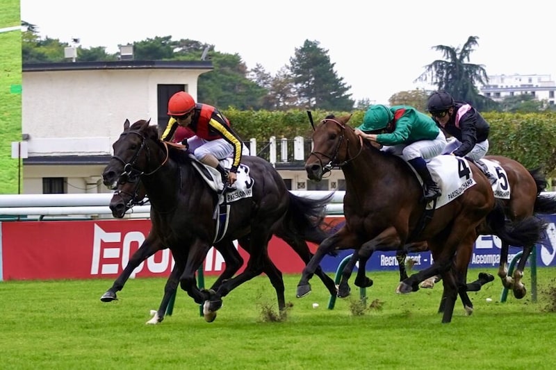 北村友一騎手が9月28日、29日の2日間騎乗停止…プランスドランジュ賞でムチ使用回数超過