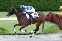 【新馬/阪神3R】タカスタカスタカスがデビューV…高須院長所有馬