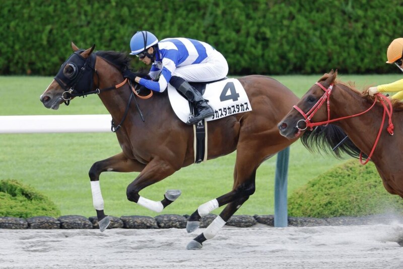 【新馬/阪神3R】タカスタカスタカスがデビューV…高須院長所有馬