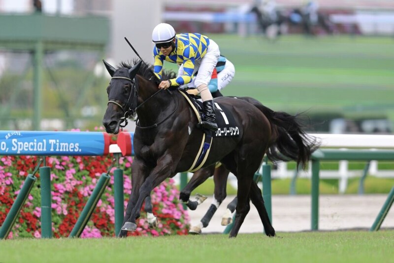 【夕月特別】単勝1.4倍グローリーリンクが人気に応える