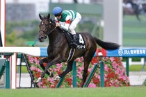 【野路菊S】良血アランカールがデビュー2連勝