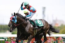 【阪神JS】ネビーイームが障害重賞初制覇