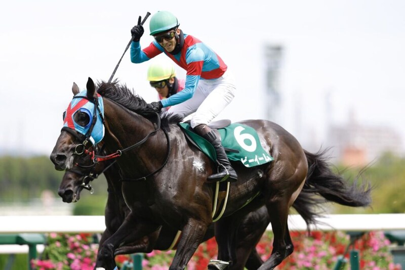 【阪神JS】ネビーイームが障害重賞初制覇