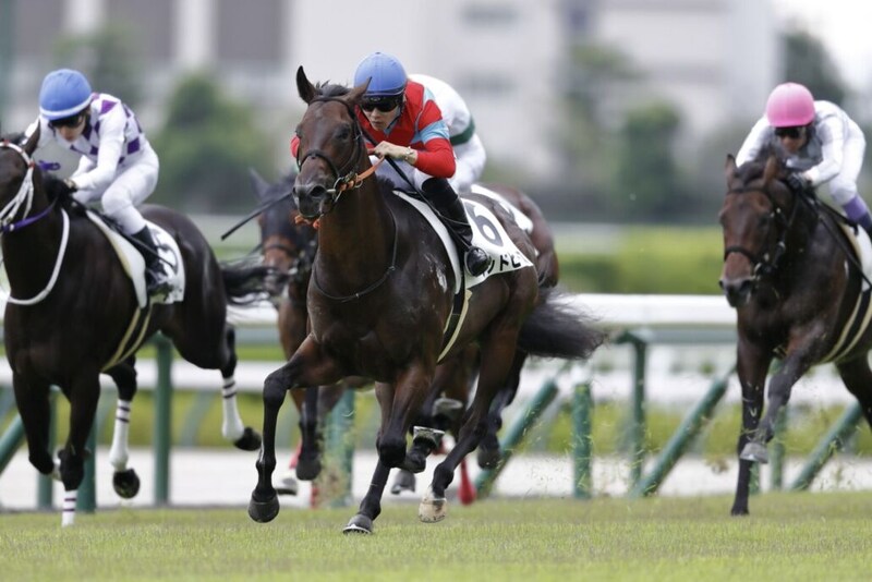 【新馬/阪神5R】グッドピースがデビューV…1番人気カルロットは5着