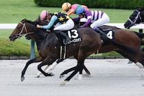 【大阪スポーツ杯】3連単562万の大波乱…11番人気スターペスカオリが波乱を演出