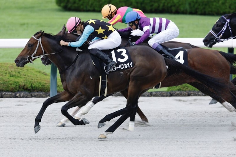 【大阪スポーツ杯】3連単562万の大波乱…11番人気スターペスカオリが波乱を演出