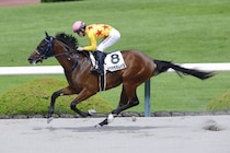 【新馬/阪神6R】ボクマダネムイヨがデビュー戦を快勝