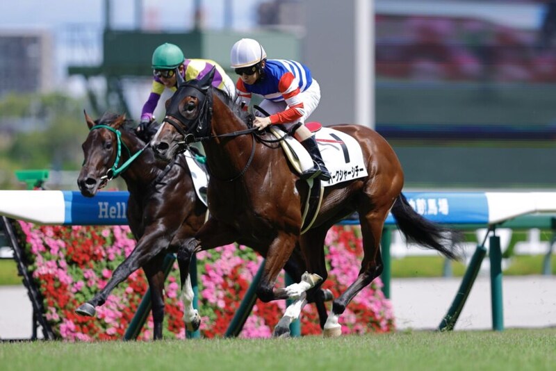 【新馬/阪神5R】8番人気の伏兵バークシャーシチーが差し切る