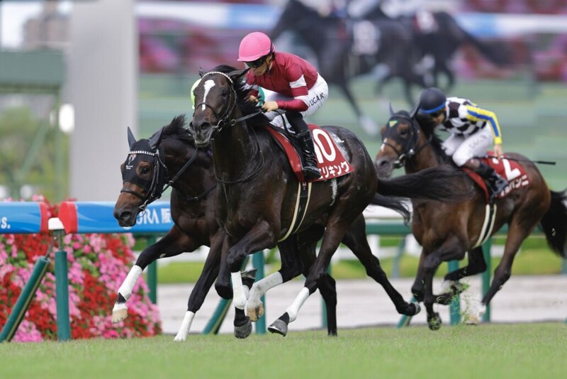 【神戸新聞杯】エリキングが復活V…2着にショウヘイ