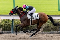 【中山1R】小林美駒騎乗 デールエルバハリがハナ差V