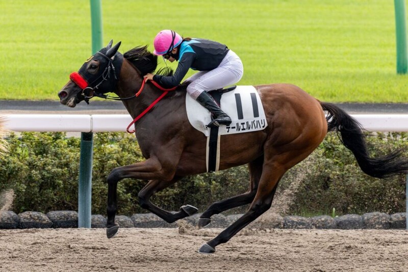 【中山1R】小林美駒騎乗 デールエルバハリがハナ差V