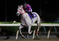 【水沢・青藍賞】岩手の実力馬ヒロシクン、フジユージーンとの直接対決を制す