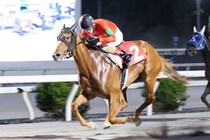 【高知・ミラク特別】グレートヒエン鮮やか逃げ切り…1番人気ミニョンは3着