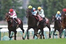 札幌記念Vのトップナイフ、左前浅屈腱炎で長期離脱