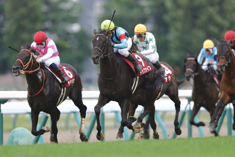 札幌記念Vのトップナイフ、左前浅屈腱炎で長期離脱