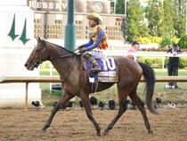 【シリウスS登録馬】テーオーパスワードなど17頭