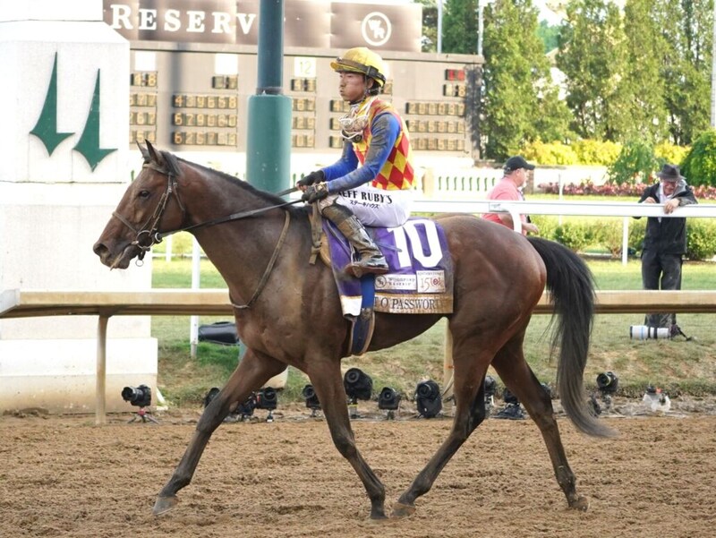 【シリウスS登録馬】テーオーパスワードなど17頭