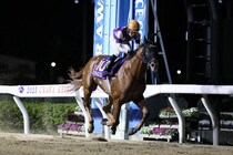 【浦和・オーバルスプリント】サンライズフレイムが交流重賞初制覇…3馬身差完勝