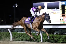 【浦和・オーバルスプリント】菱田「想定以上のいいポジションだった」サンライズフレイムが交流重賞初制覇