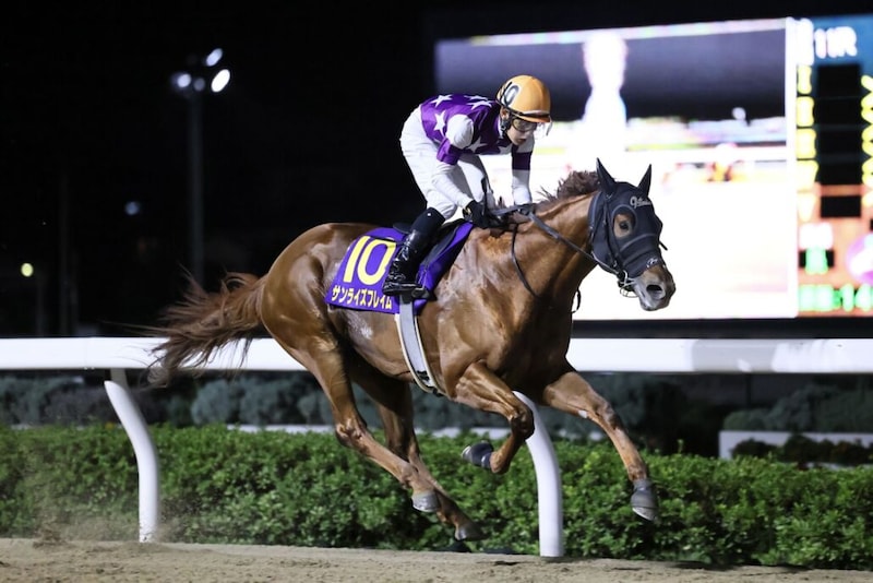 【浦和・オーバルスプリント】菱田「想定以上のいいポジションだった」サンライズフレイムが交流重賞初制覇