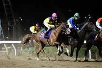 【浦和・オーバルスプリント】武豊「スピードの乗りも悪かった」ガビーズシスターは4着