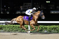 【浦和・オーバルスプリント】張田「展開一つですね」船橋のムエックスは3着まで