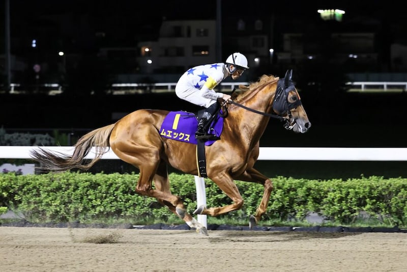 【浦和・オーバルスプリント】張田「展開一つですね」船橋のムエックスは3着まで