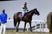 【浦和・オーバルスプリント】浦和所属アウストロが2着に激走！秋元「54キロがプラスになった」