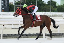 【兵庫ジュベナイルカップ】エイシンイワハシルが接戦制す…リーガルタイムは不利で2着