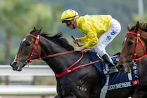 【スプリンターズS】出走馬調教後の馬体重…香港ラッキースワイネスは542kg