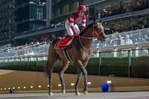 【日本テレビ盃】フォーエバーヤングが出走予定