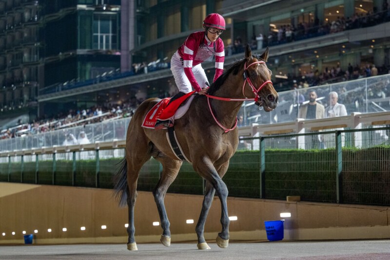 【日本テレビ盃】フォーエバーヤングが出走予定