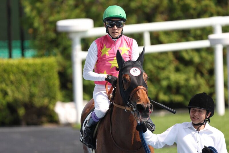 武豊騎手 今週の騎乗馬…スプリンターズSはジューンブレアとのコンビ
