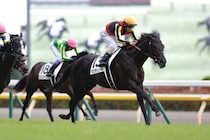 【凱旋門賞】クロワデュノール＆ビザンチンドリームが現地追い切り…順調な仕上がりをアピール