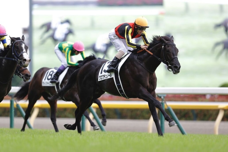 【凱旋門賞】クロワデュノール＆ビザンチンドリームが現地追い切り…順調な仕上がりをアピール