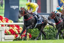 【スプリンターズS】香港馬ラッキースワイネスは5枠10番へ